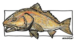 Solar Tech Tee Simms Redfish Sterling -Simms Shop solar tech tee simms redfish sterling s.2