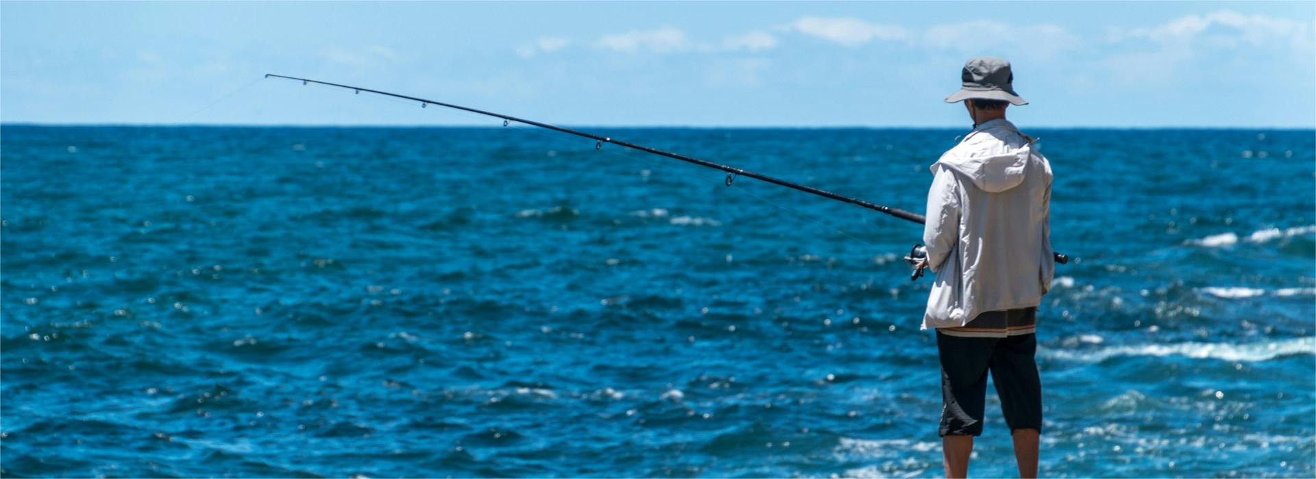 Simms Shop -Simms Shop vladimir haltakov CQDutGGkAjk unsplash